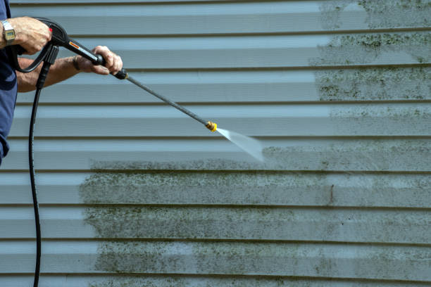 Best Pressure Washing Siding  in Dyer, TN