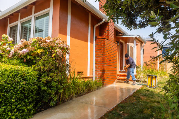 Best Roof Pressure Washing  in Dyer, TN